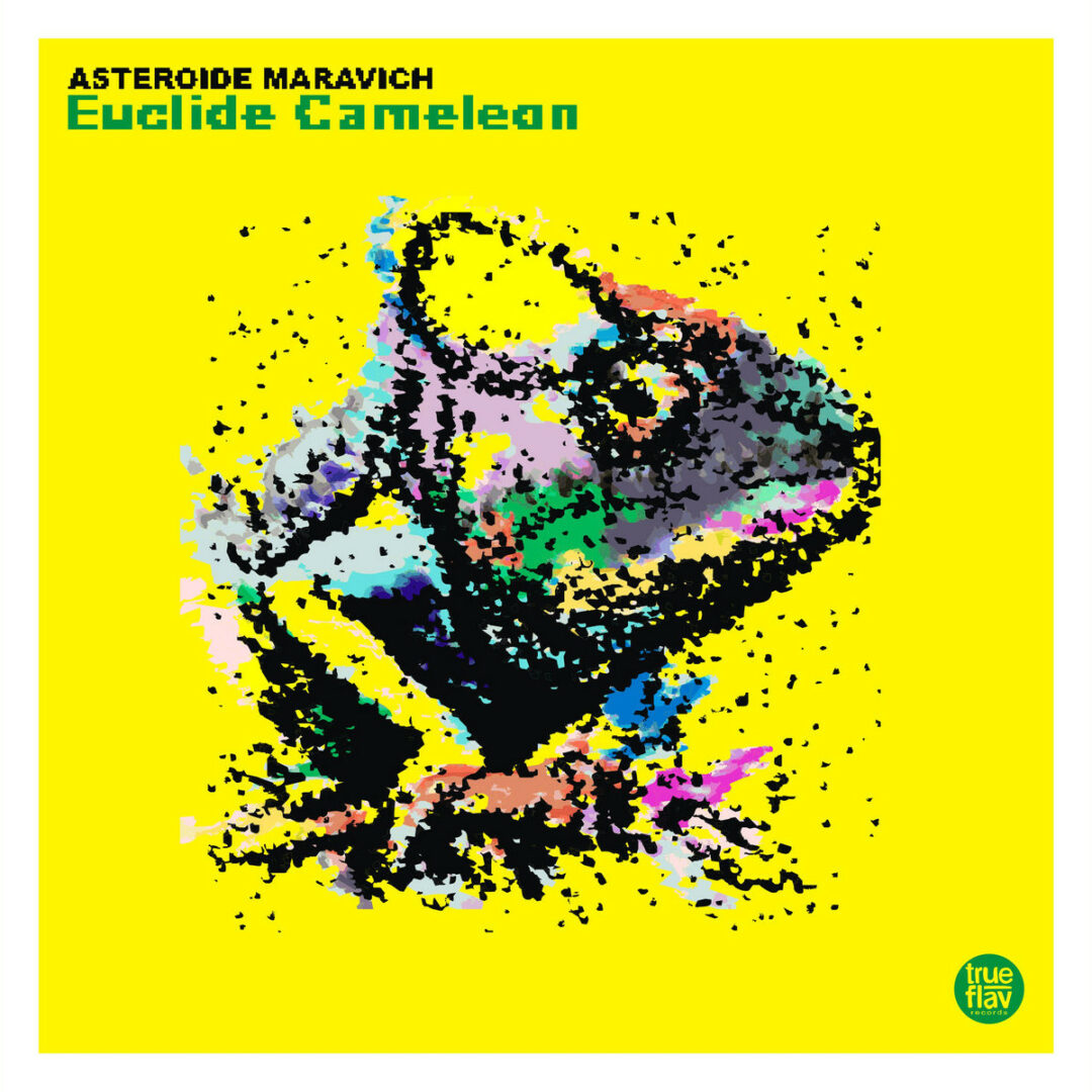Euclide Cameleon (EP)